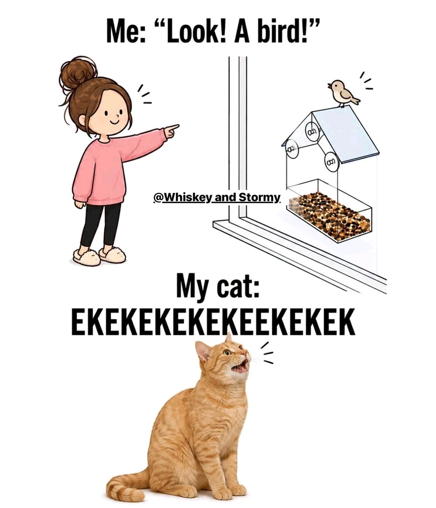 GIF nahrál Erica