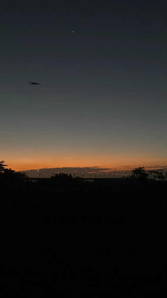 GIF hochgeladen von fare