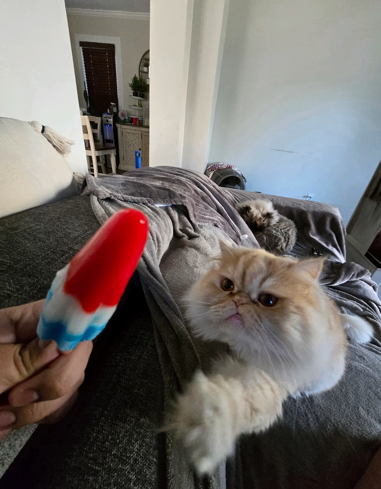 GIF diunggah ku Emiliano
