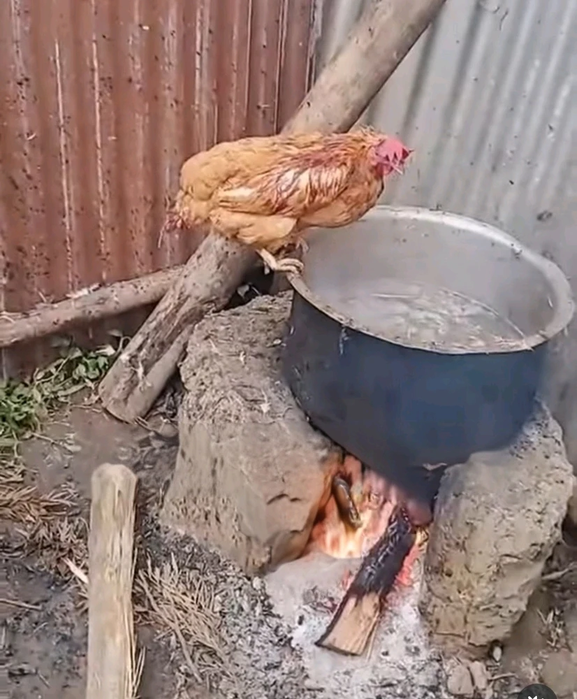 GIF nahrál Miki