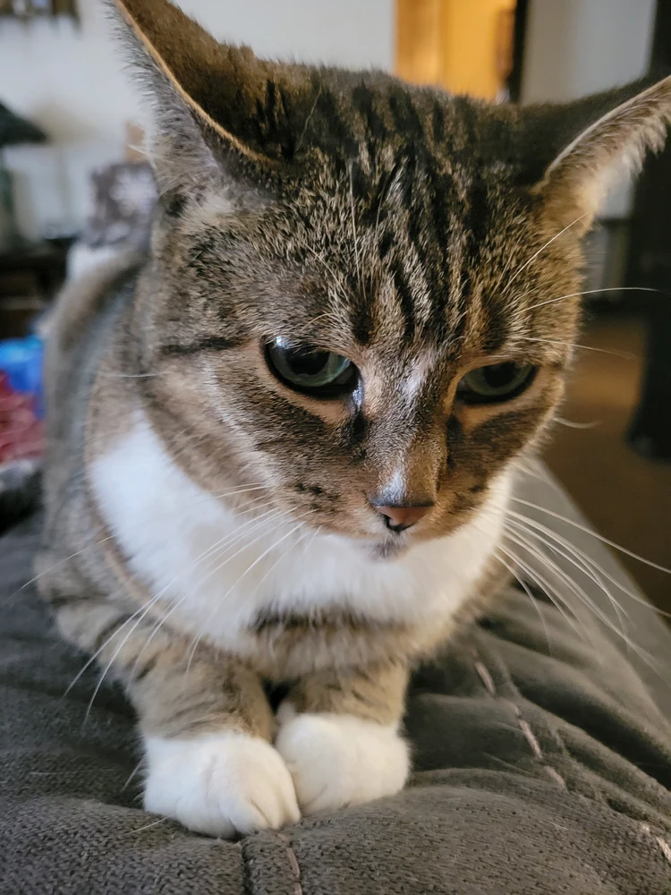 GIF uploaded by Austin