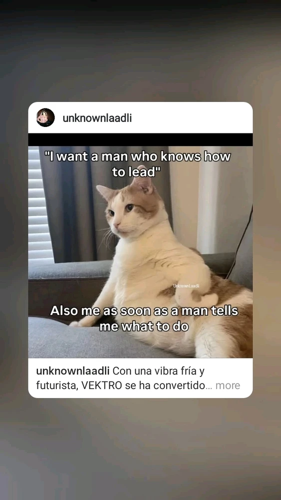 GIF uploadet af chelle