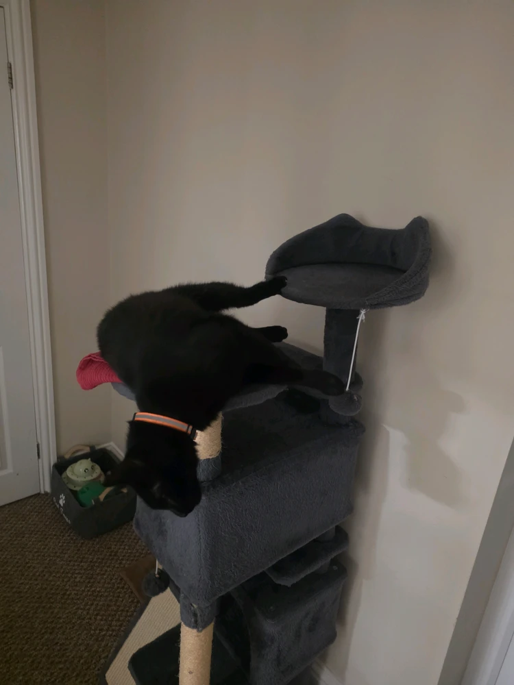 Obrázek nahrál Mark