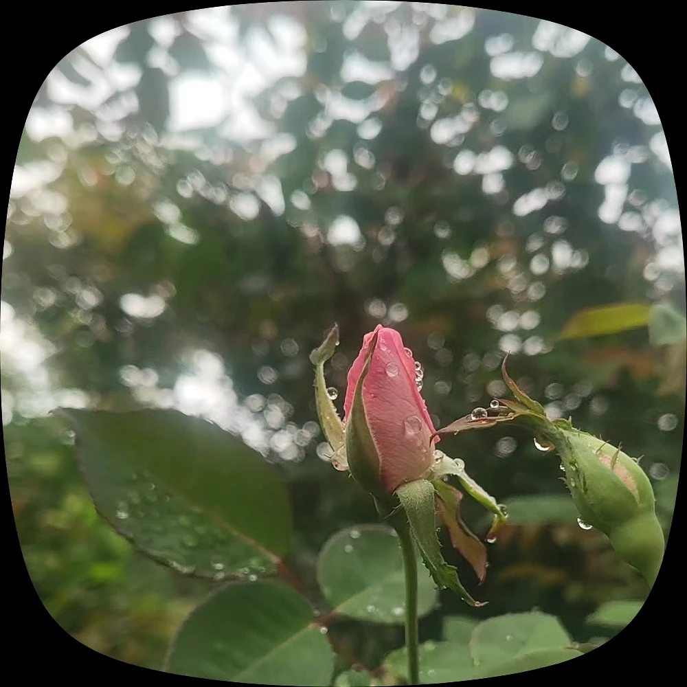 GIF uploaded by Githin