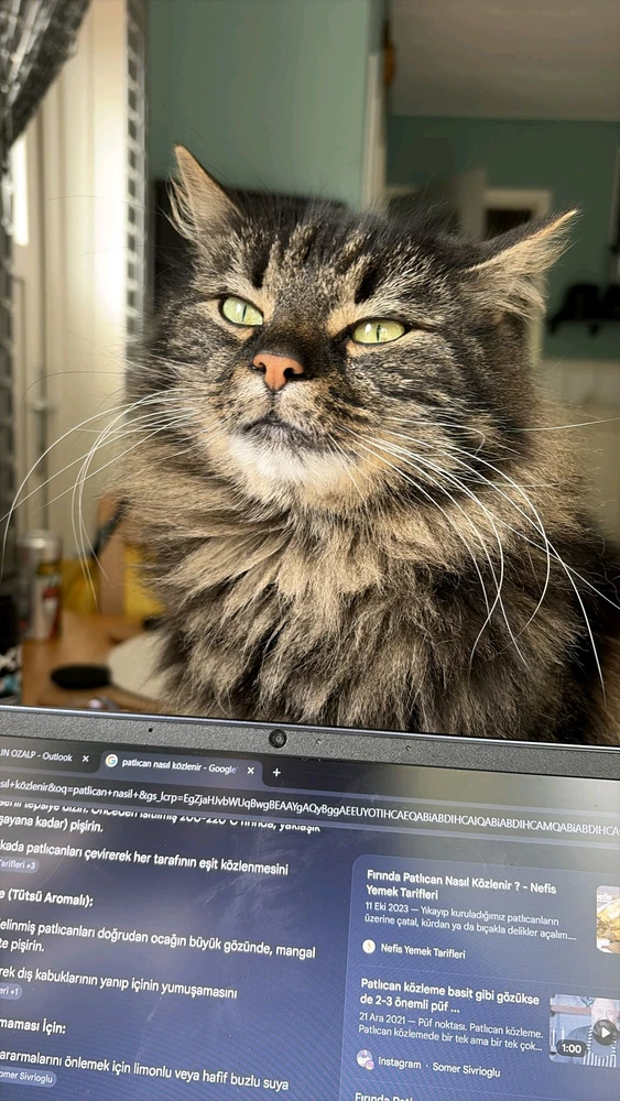 GIF diunggah ku Jordy