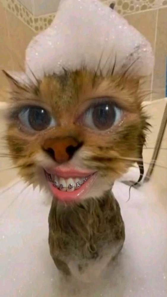GIF Ivon tarapyndan ýüklenen