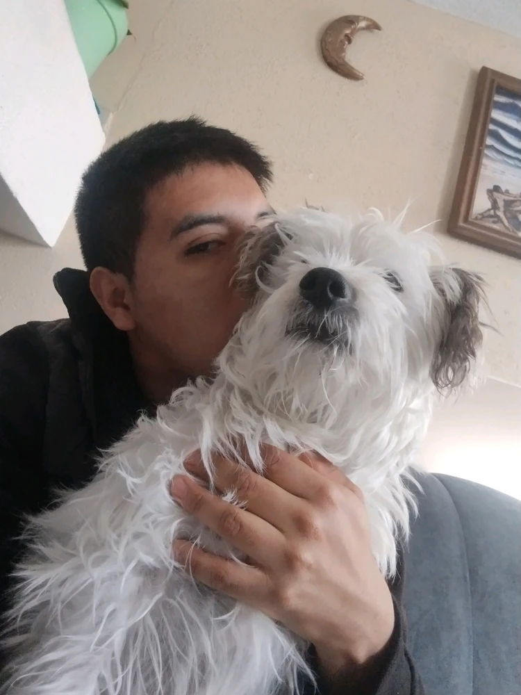 GIF gi-upload ni Moises Samuel