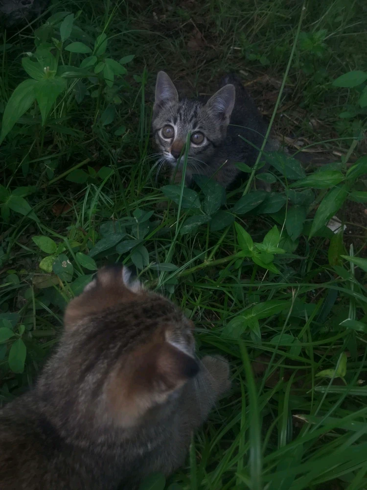 GIF uploaded by Sam