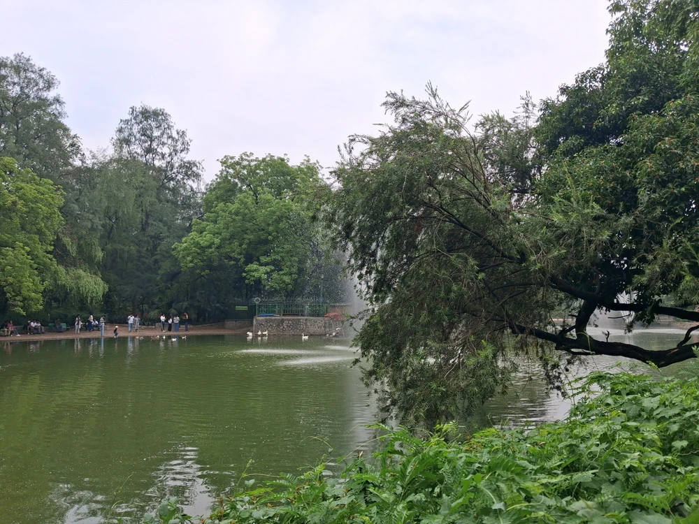 Image uploaded by Mihir Sen