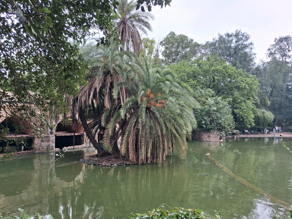 Image uploaded by Mihir Sen