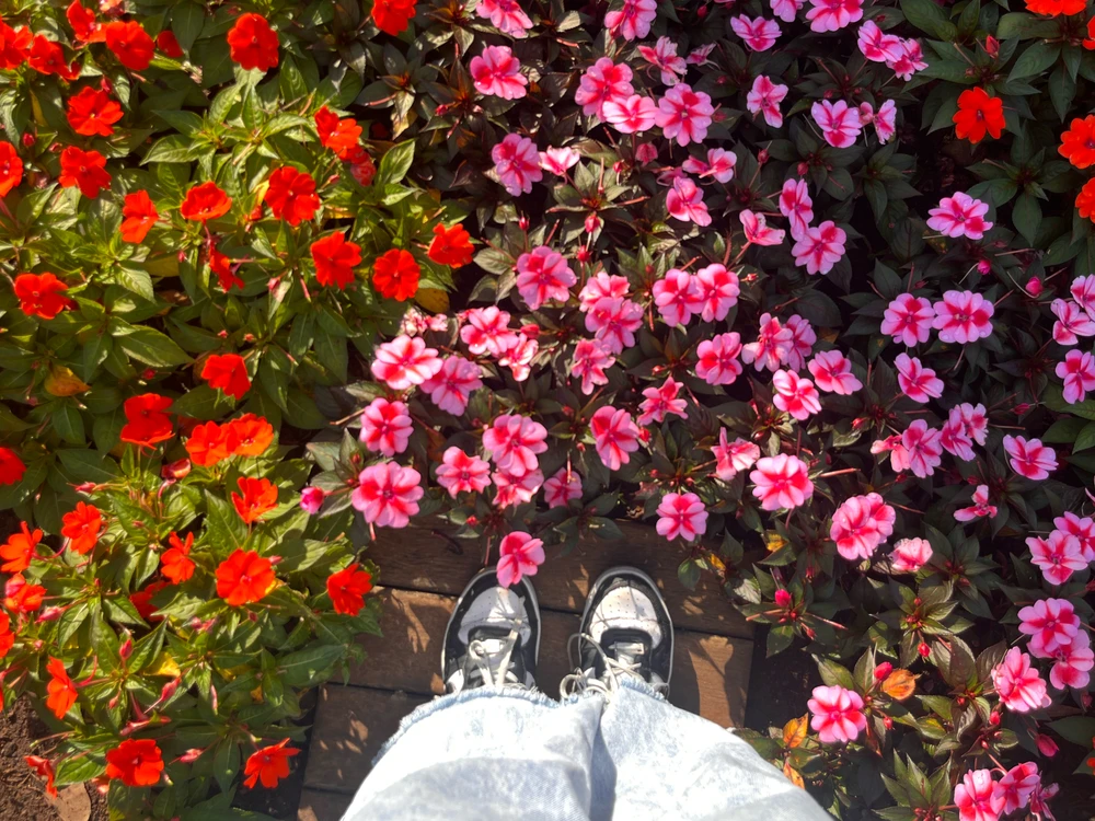 GIF uploaded by Rayka