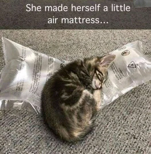 GIF uploaded by Benjiggity
