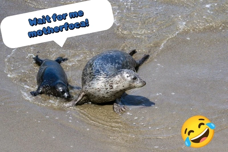 GIF uploaded by Andy