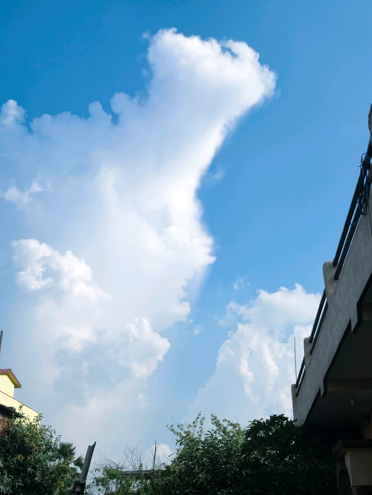 Shubam Maverick байршуулсан GIF