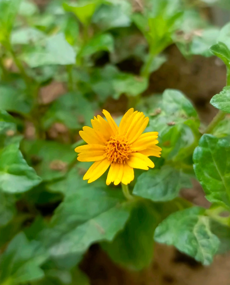 GIF uploaded by 𝑨𝒏𝒆𝒆𝒍..
