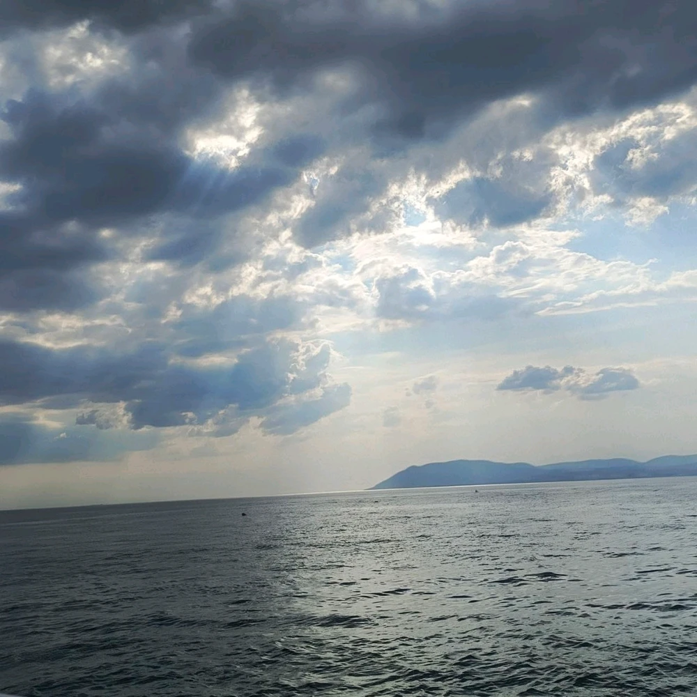 Image uploaded by Joy