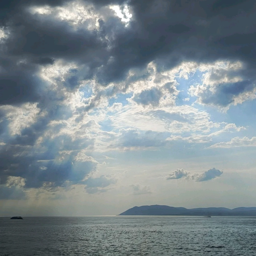 Image uploaded by Joy