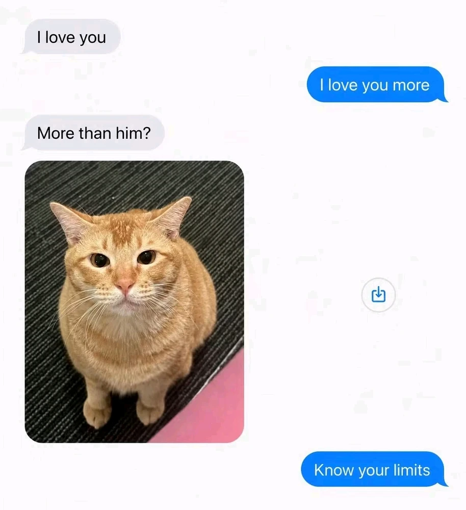 GIF eropgeluede vum Minnae
