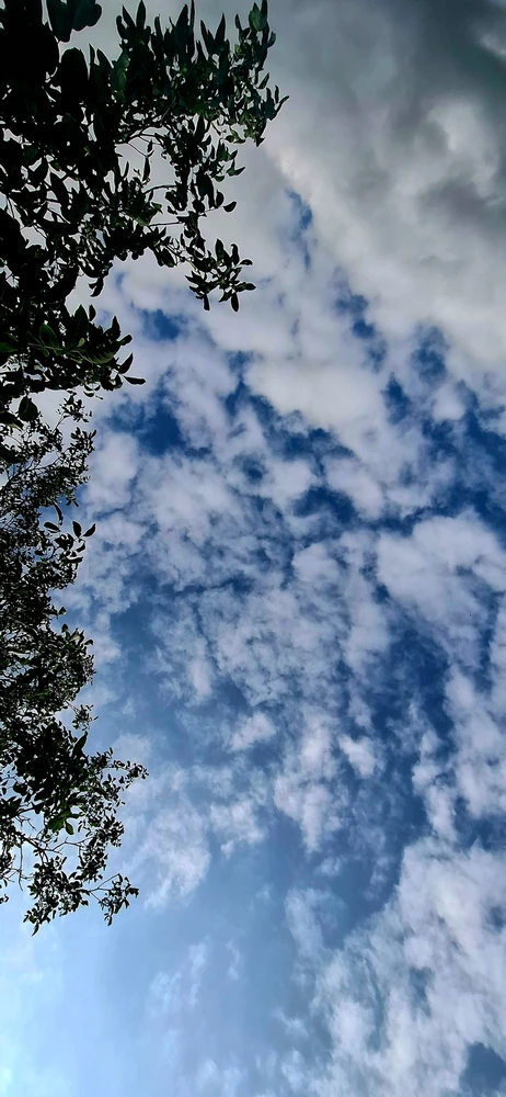GIF uploaded by Aga
