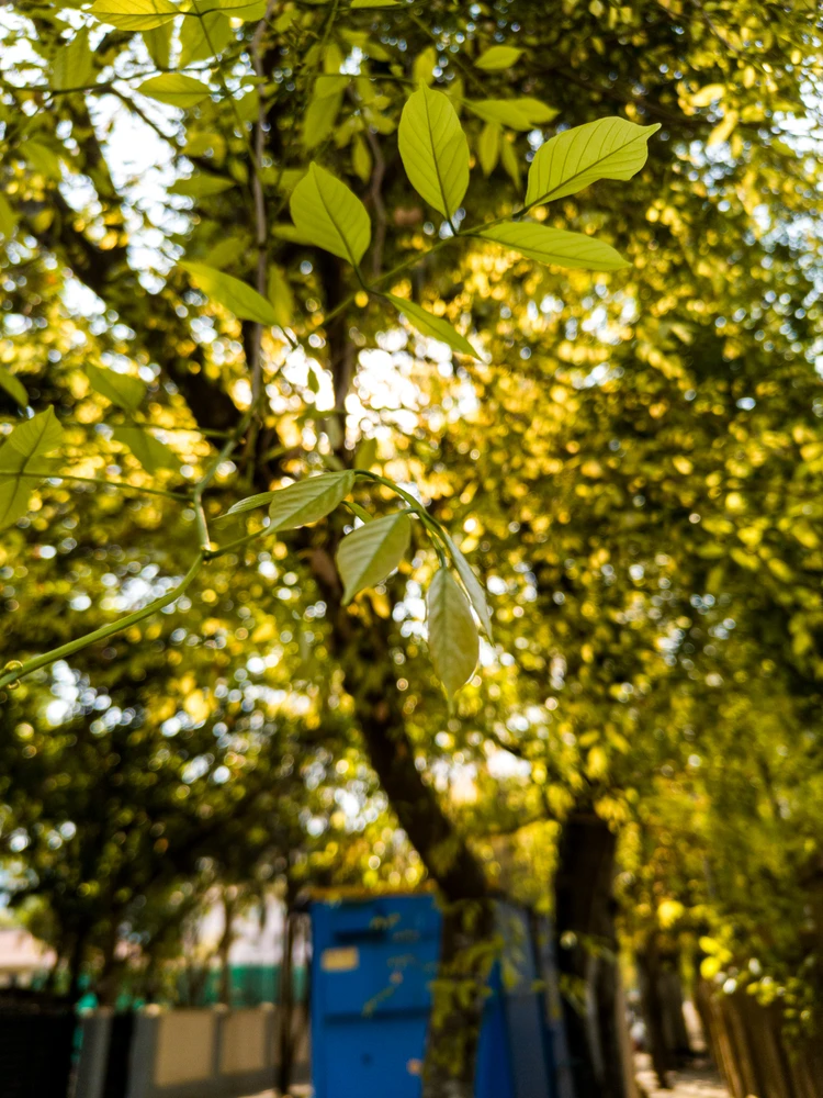 Sliku je postavio/la Keshav