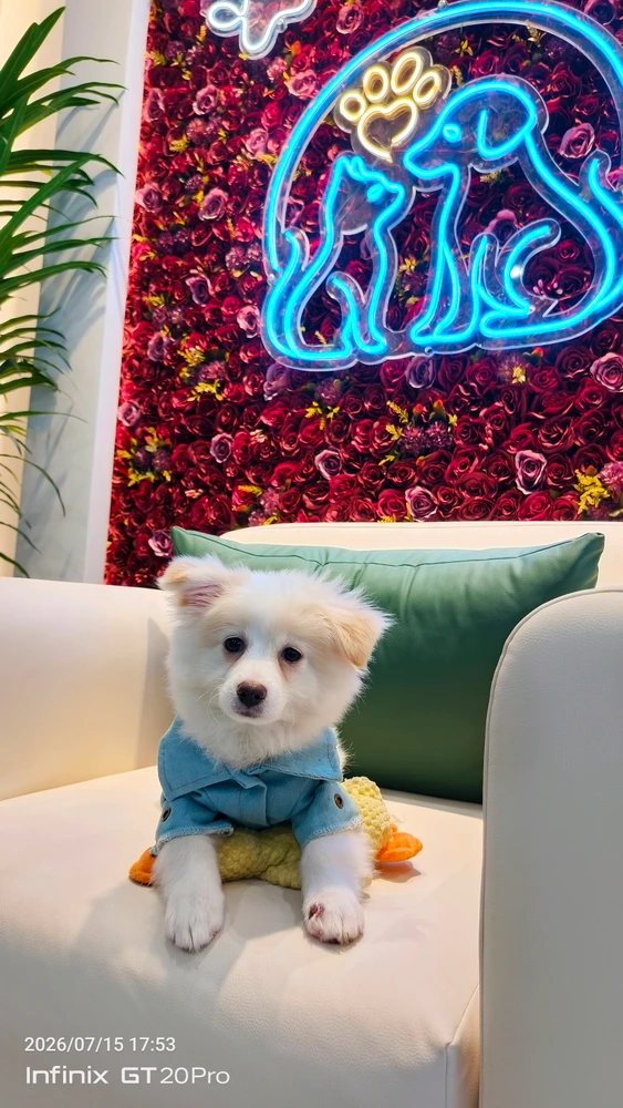 GIF uploaded by G AquaRius