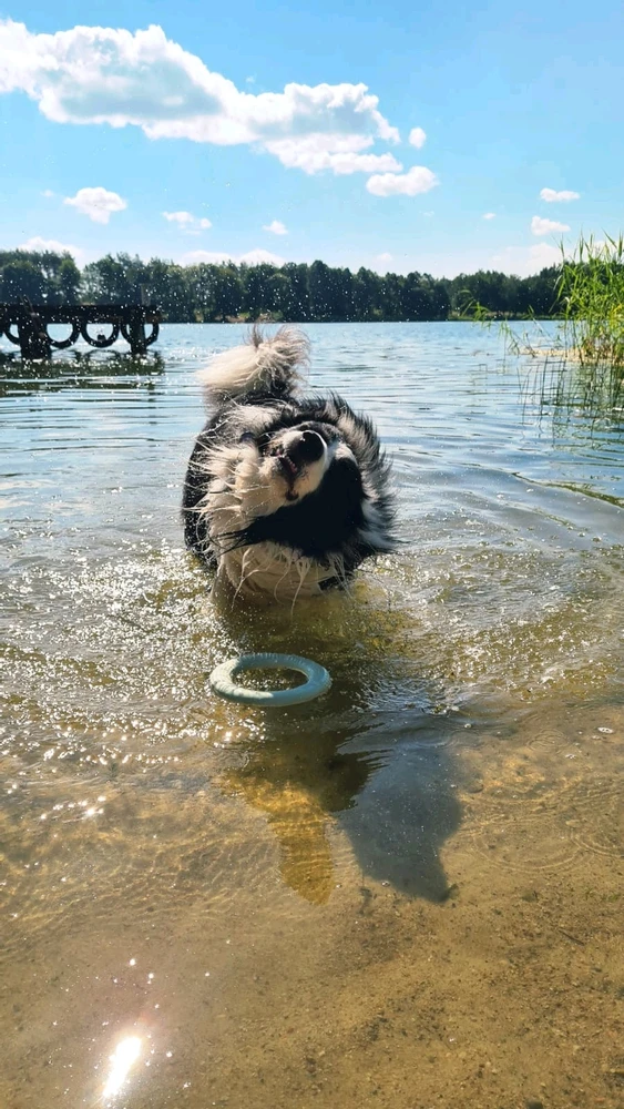 GIF uploaded by Paweł