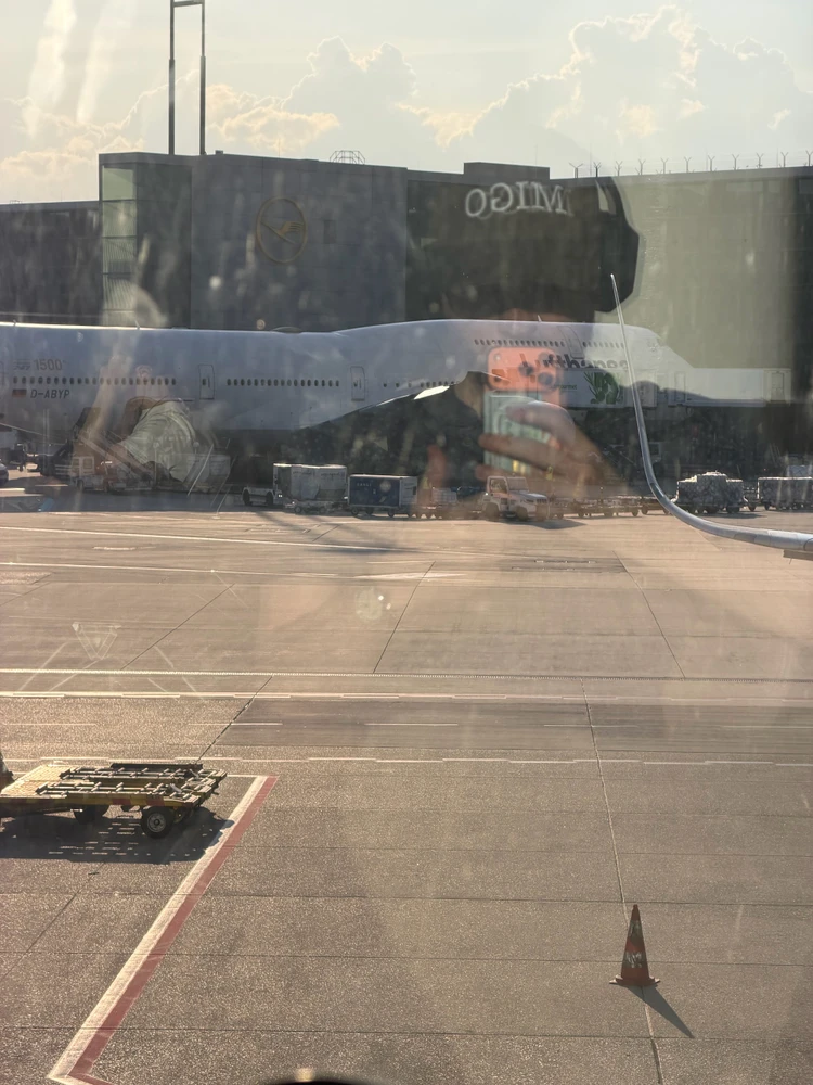 GIF uploaded by Domen