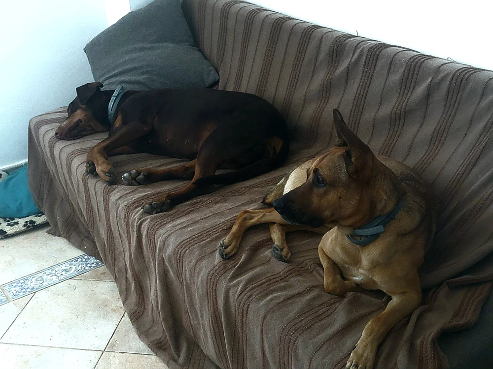 GIF uploaded by Seb