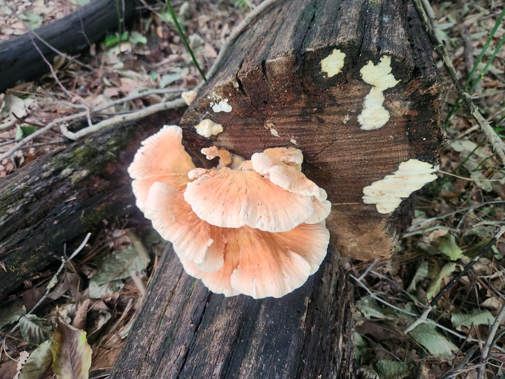 GIF uploaded by William