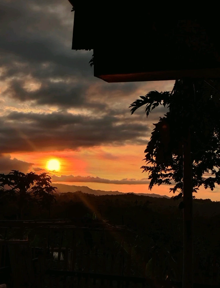 GIF učitao/la san