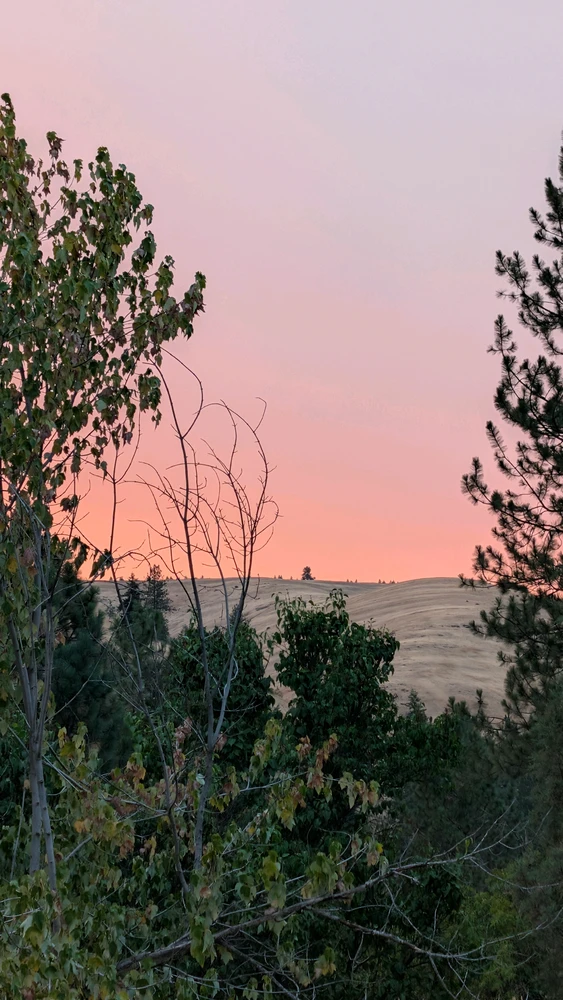Immaġni mtellgħa minn Sky