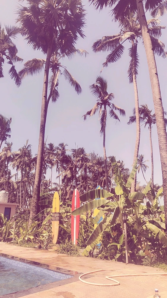 GIF gi-upload ni M