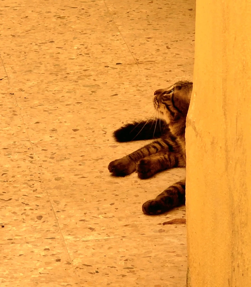 GIF uploaded by Sif