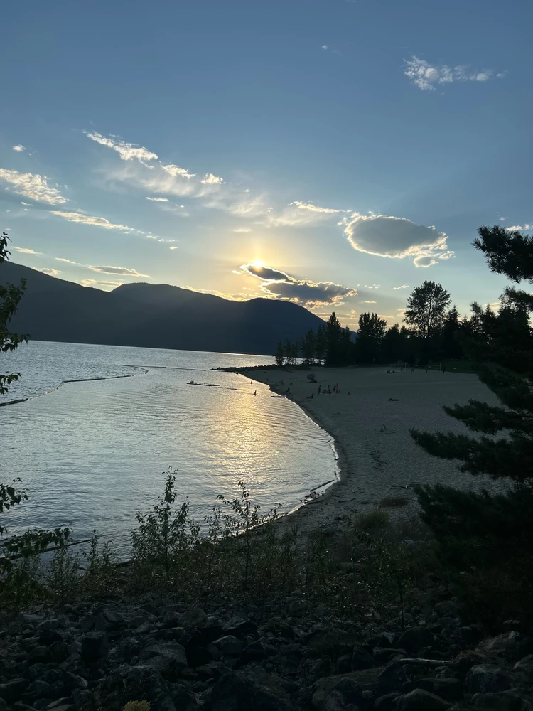 GIF uploaded by Mahsa