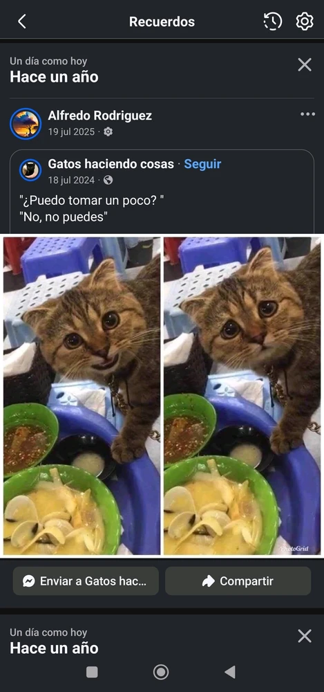 GIF uploaded by Alfredo