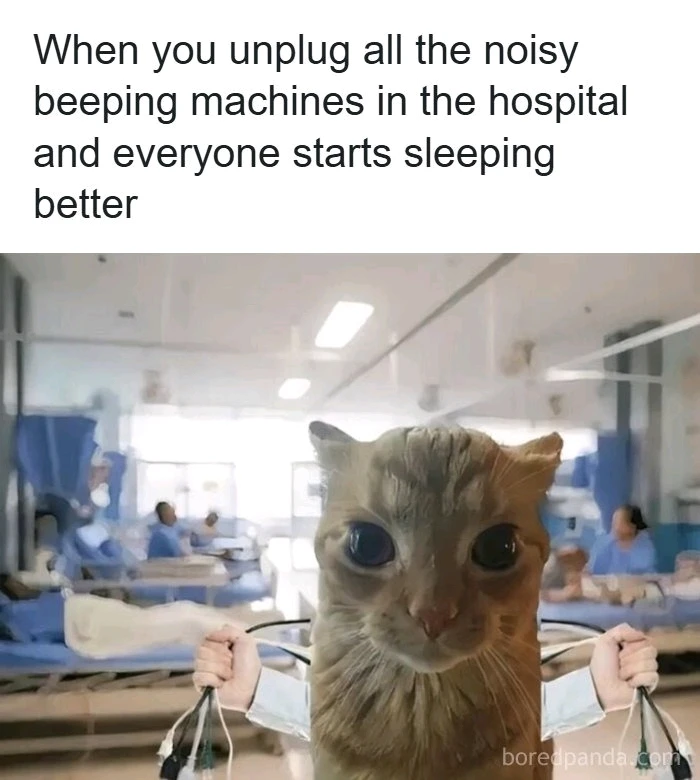 GIF uploaded by I A