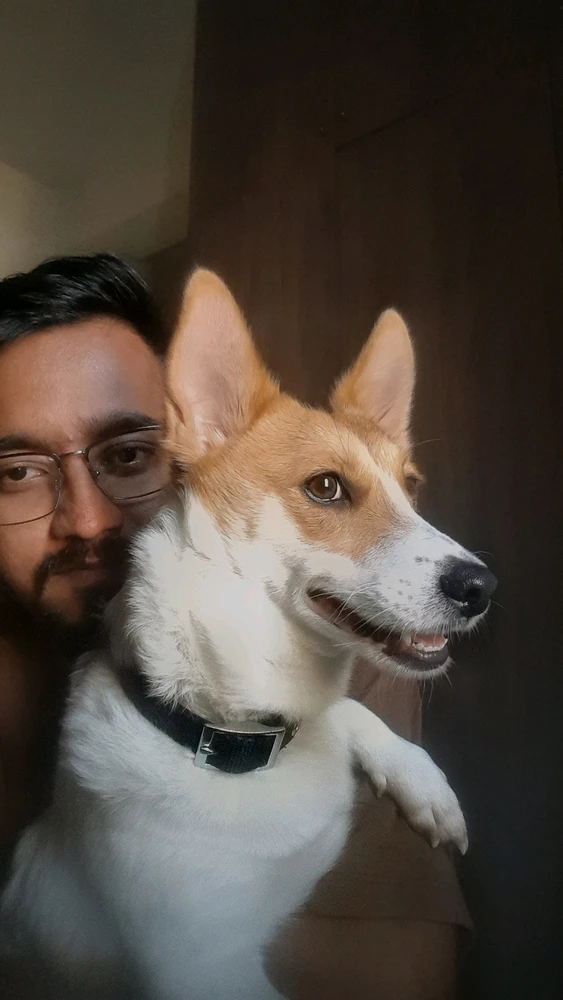GIF nahral Vinodh