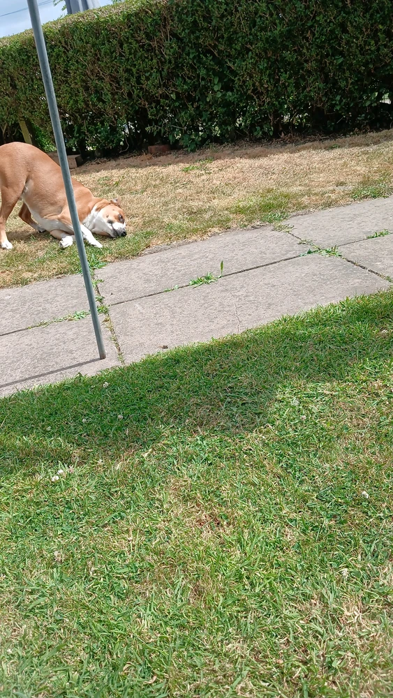 GIF uploaded by Vicky