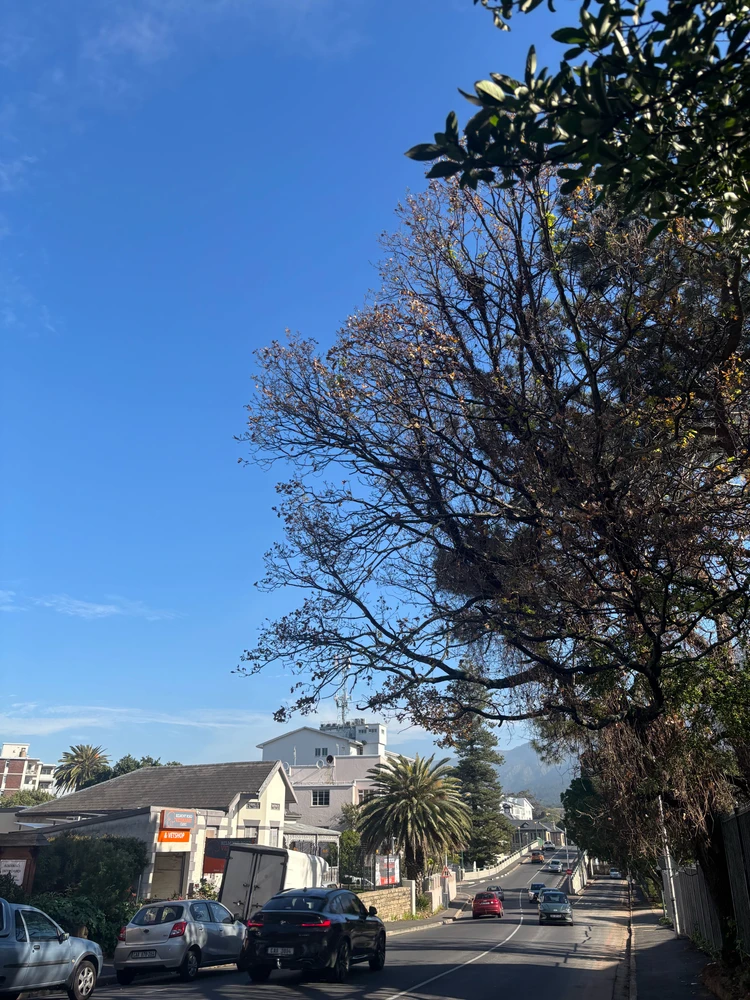Image uploaded by Likho