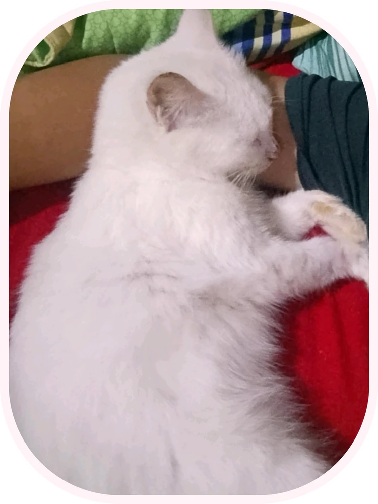 Love tarafından yüklenen GIF