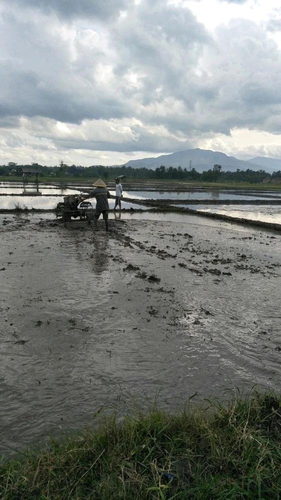 GIF subido por Mei aini