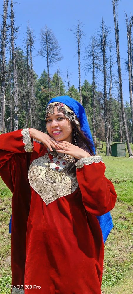 Bee پاران اپ لوڊ ٿيل GIF