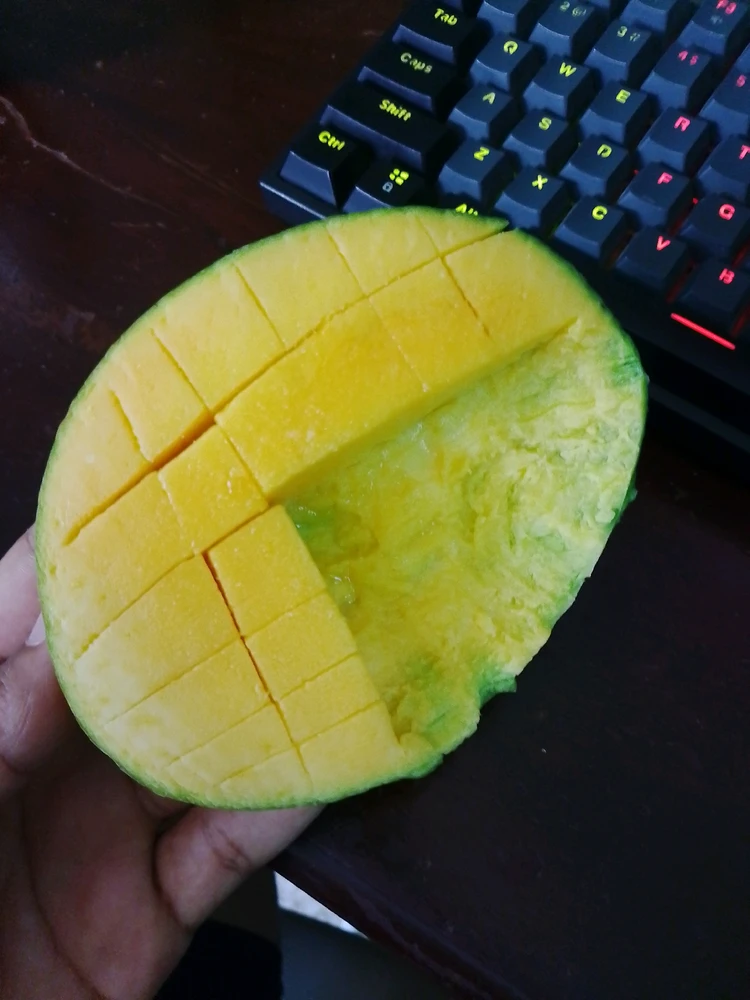 GIF uploaded by Jeison