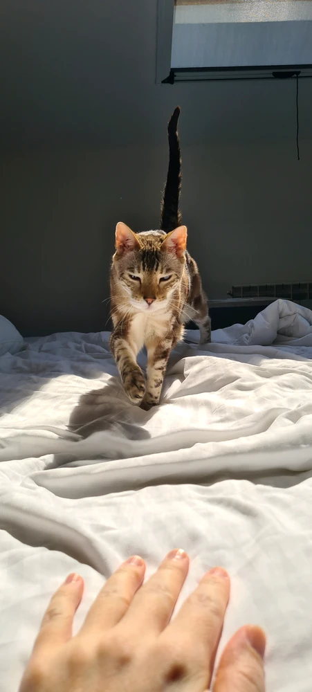 GIF uploaded by Artem