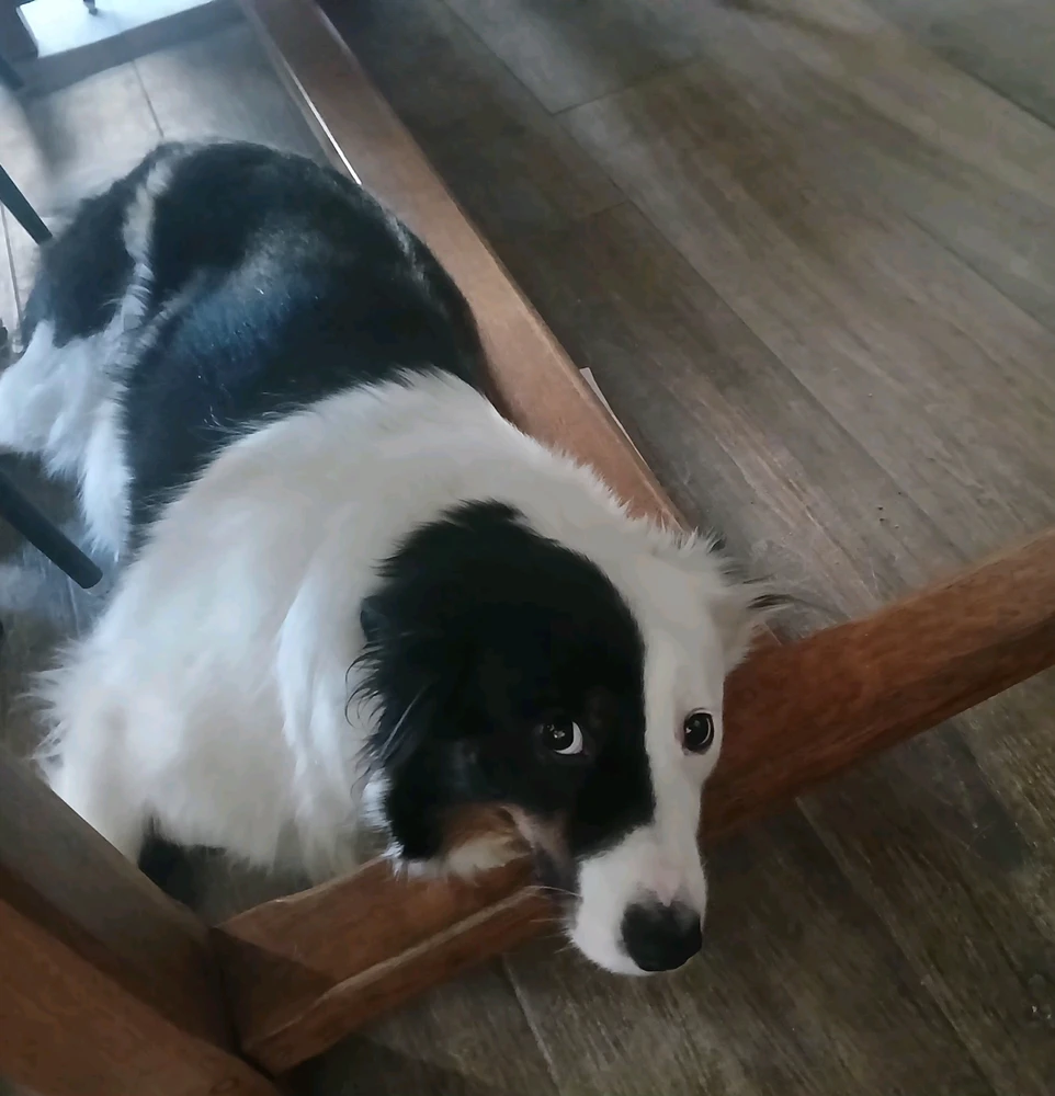 GIF uploaded by Zou