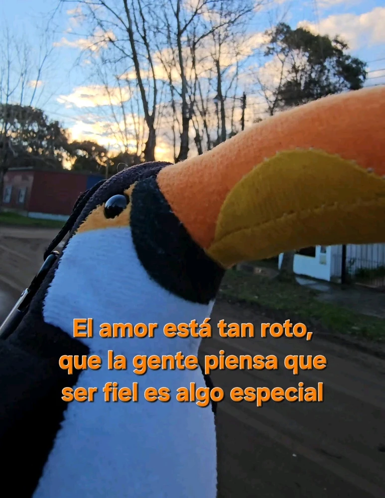 GIF pujat per Renzo