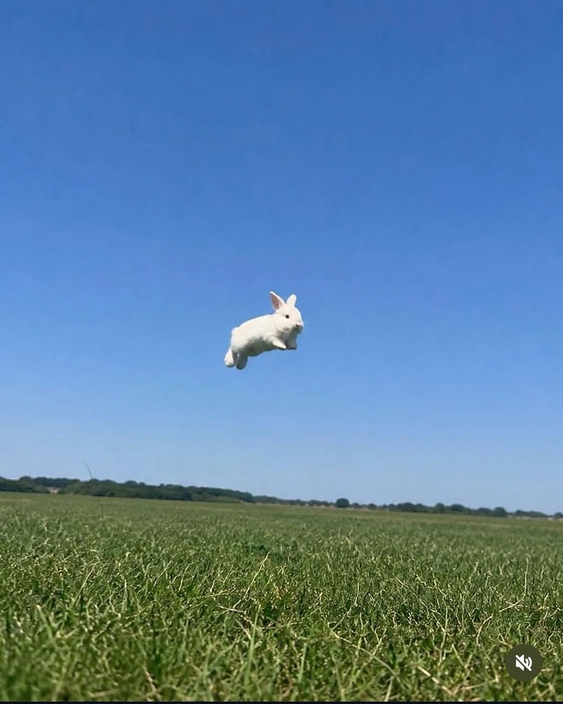 Eldjárn йөкләгән рәсем
