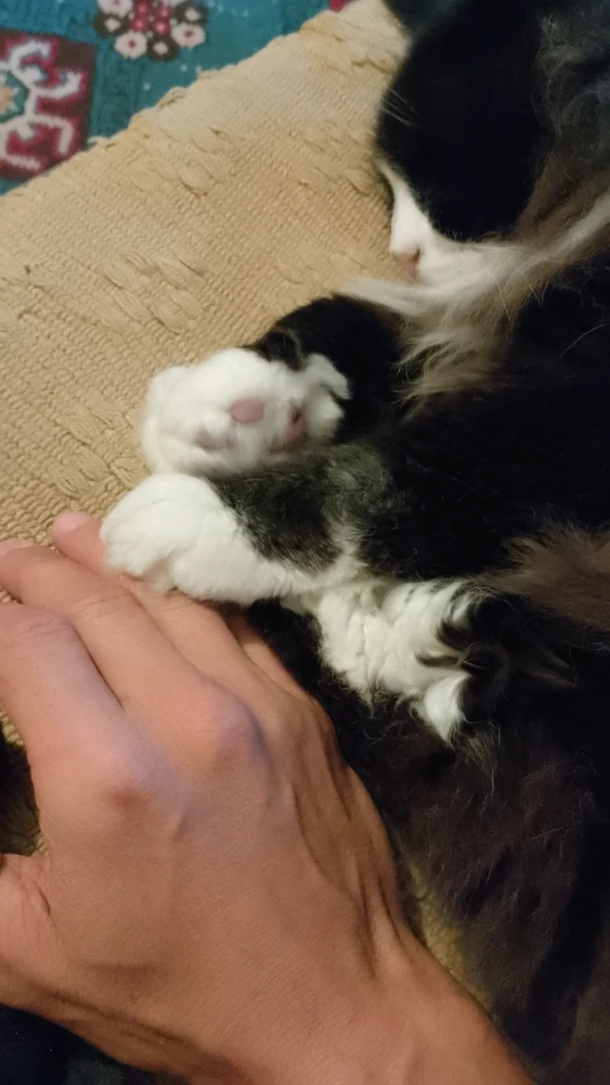 GIF diunggah ku Luci