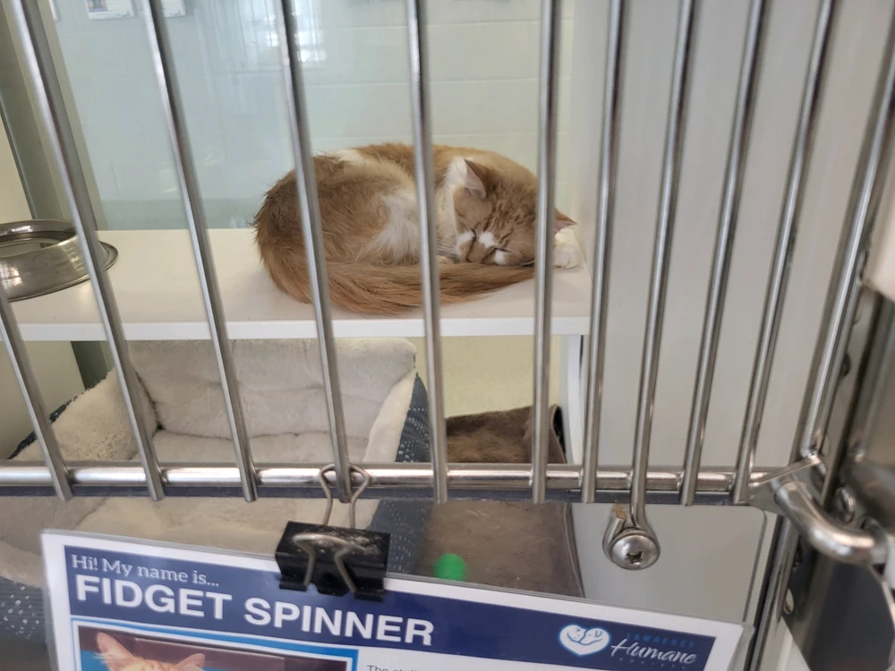 Image uploaded by Tanner