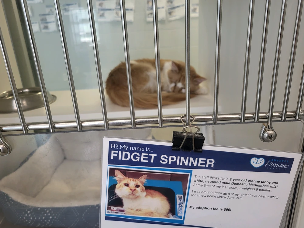 Image uploaded by Tanner